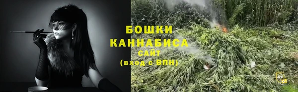 ПСИЛОЦИБИНОВЫЕ ГРИБЫ Вяземский