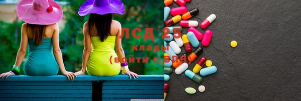 ПСИЛОЦИБИНОВЫЕ ГРИБЫ Вяземский