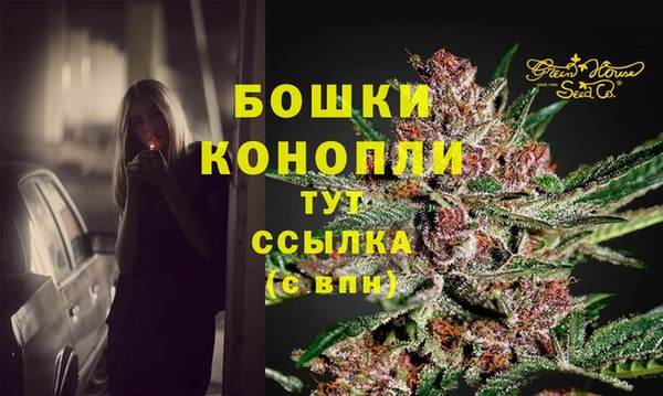 ПСИЛОЦИБИНОВЫЕ ГРИБЫ Вяземский
