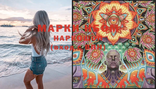 ПСИЛОЦИБИНОВЫЕ ГРИБЫ Вяземский