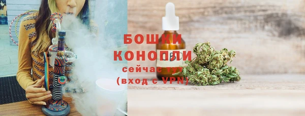 ПСИЛОЦИБИНОВЫЕ ГРИБЫ Вяземский