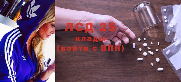 ПСИЛОЦИБИНОВЫЕ ГРИБЫ Вяземский