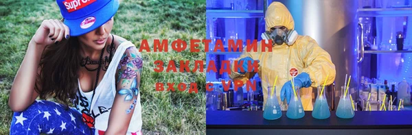 ПСИЛОЦИБИНОВЫЕ ГРИБЫ Вяземский